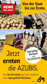 REWE Prospekt Werder (Havel) "Dein Markt" mit 34 Seiten