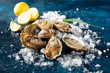HUÎTRES FINES DE CLAIRE MARENNES OLÉRON IGP - SANS MARQUE - Auchan Hypermarché à Castres HUÎTRES FINES DE CLAIRE MARENNES OLÉRON IGP - SANS MARQUE en promo chez Auchan Hypermarché Castres à 12,99 €
