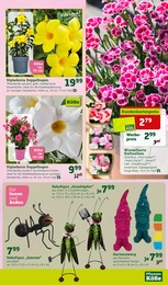 Gartenfiguren Angebot im aktuellen Pflanzen Kölle Prospekt auf Seite 5