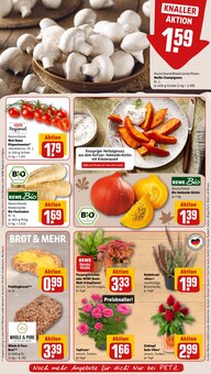 Blumentopf im REWE Prospekt "Dein Markt" mit 38 Seiten (Siegen (Universitätsstadt))