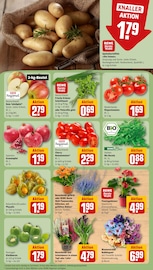 Bio im REWE Prospekt in Speyer Aktueller REWE Prospekt mit Bio, "Dein Markt", Seite 11