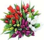 Tulpenstrauß bei E center im Prospekt "" für 3,99 €