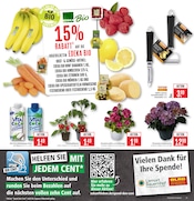 Aktueller Marktkauf Prospekt mit Kartoffeln, "Aktuelle Angebote", Seite 7