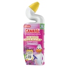 Gel nettoyant WC - CANARD en promo chez Carrefour Market Trappes à 4,61 €