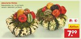 Aktuelles Dekorierter Kürbis Angebot bei Netto Marken-Discount in Münster ab 7,99 €