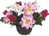 Maxi Bazar Lillers - Promo Coupe dahlia et boutons de rose Promo Coupe dahlia et boutons de rose à 12,99 € dans le catalogue Maxi Bazar à Lillers