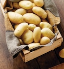 Intermarché Super Vienne - Promo Pomme de terre de consommation Agata Promo Pomme de terre de consommation Agata à 2,09 € dans le catalogue Intermarché Super à Vienne