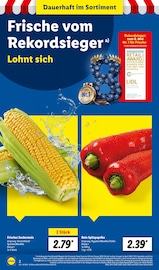 Paprika im Lidl Prospekt in Rastatt Aktueller Lidl Prospekt mit Paprika, "LIDL LOHNT SICH", Seite 2