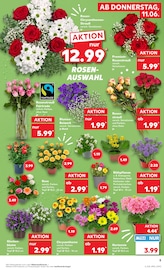 Stauden im Kaufland Prospekt in Köln Aktueller Kaufland Prospekt mit Stauden, "Hier bin ich richtig", Seite 14
