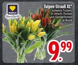 Tulpen-Strauß XL Angebote von EDEKA bei EDEKA Ravensburg für 9,99 €