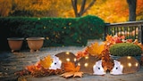 Acryl LED-Herbsttiere von dekorado im aktuellen Netto mit dem Scottie Prospekt