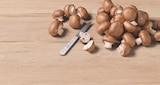 Aktuelles Champignons braun Angebot bei tegut in Nürnberg ab 0,99 €