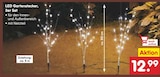 LED Gartenstecker, 3er Set Angebote bei Netto Marken-Discount Germering für 12,99 €