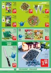 Aktueller Marktkauf Prospekt mit Blumenerde, "AUSWAHL RIESIG, PREISE NIEDRIG", Seite 11