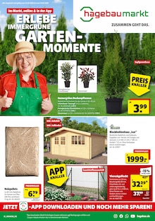 Aktueller Prospekt "ERLEBE IMMERGRÜNE GARTENMOMENTE" für Schwerin Aktueller Prospekt für Schwerin mit Seiten