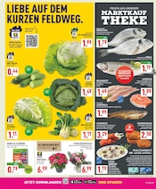 Forelle im Marktkauf Prospekt in Gelsenkirchen Aktueller Marktkauf Prospekt mit Forelle, "Aktuelle Angebote", Seite 3