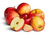 Penny Gosen-Neu Zittau - rote Äpfel Angebot im Prospekt rote Äpfel bei Penny im Gosen-Neu Zittau Prospekt für 1,49 €