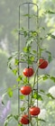Tomaten-Rankhilfe Angebote bei Wreesmann Cottbus für 1,99 €