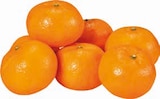 EDEKA Rellingen - Rotkehlchen Clementinen Sorte: Tango Angebot im Prospekt Rotkehlchen Clementinen Sorte: Tango bei EDEKA im Rellingen Prospekt für 3,79 €