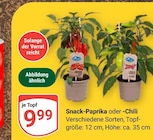 GLOBUS Zweibrücken Prospekt mit  im Angebot für 9,99 €