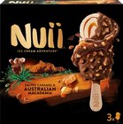 Ice Cream Salted Caramel & Australian Macadamia im Angebot bei REWE in Braunschweig Ice Cream Salted Caramel & Australian Macadamia Angebote von Nuii bei REWE Braunschweig für 1,99 €