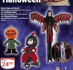 Horror-Puppe auf Fahrrad im Angebot bei GLOBUS in Saarbrücken Horror-Puppe auf Fahrrad Angebote bei GLOBUS Saarbrücken für 24,99 €