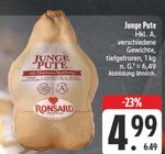 Junge Pute im Angebot bei EDEKA in Amberg Junge Pute Angebote von Ronsard bei EDEKA Amberg für 4,99 €