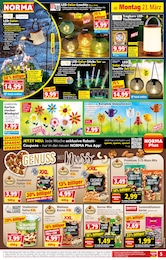 LED-Lampe Angebot im aktuellen Norma Prospekt auf Seite 5