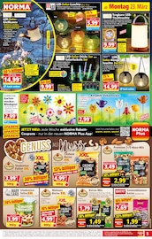 Aktueller Norma Prospekt mit Gartendeko, "Mehr fürs Geld", Seite 5