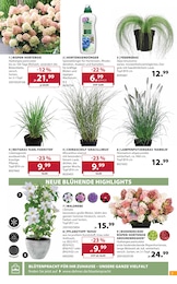Dehner Garten-Center Blumentopf im Prospekt Dehner Garten-Center Blumentopf im Prospekt