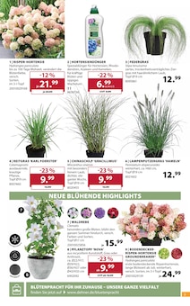 Blumentopf im aktuellen Dehner Garten-Center Prospekt (Karlsruhe) Blumentopf im Dehner Garten-Center Prospekt "FEIER DEN SOMMER" mit 16 Seiten (Karlsruhe)