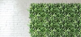 Künstliche Pflanzenwand Fire Sky im Hornbach Prospekt Künstliche Pflanzenwand Fire Sky von im aktuellen Hornbach Prospekt für 6,45 €