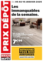 Prospectus Brico Dépôt, "Les immanquables de la semaine",  page, 09/01/2025 - 15/01/2025