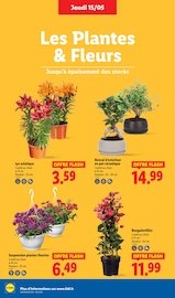 Prospectus Lidl "XXL QUANTITÉ MAXI À PRIX MINI" en cours à Amiens, Page 28 Catalogue Lidl en cours à Amiens, "XXL QUANTITÉ MAXI À PRIX MINI", Page 28