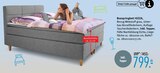 Boxspringbett KIZZA bei Trends im Witten Prospekt für 799,00 €