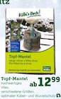 Topf-Mantel von  im aktuellen Pflanzen Kölle Prospekt für 12,99 €