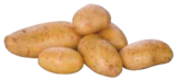 Bio Speisefrühkartoffeln im Angebot bei EDEKA in Neubrandenburg Bio Speisefrühkartoffeln Angebote von EDEKA bei EDEKA Neubrandenburg für 2,99 €