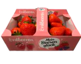 Frischemarkt Siebrecht Blesewitz Prospekt mit  im Angebot für 4,99 €