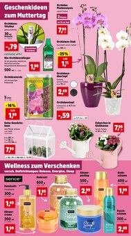 Orchidee im Thomas Philipps Prospekt "Top Angebote" mit 20 Seiten (Hamburg)