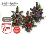 Aktuelles Gesteck im Keramiktopf Angebot bei GLOBUS in Saarbrücken ab 6,99 €