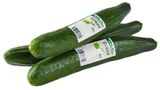 Bio Salatgurke Angebote von REWE Bio bei REWE Buxtehude für 0,79 €