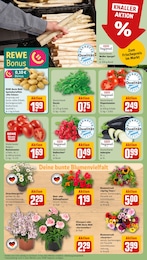 REWE Radieschen im Prospekt REWE Radieschen im Prospekt