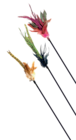 JOUET CANNE AVEC PLUMES - 47CM - CROCI en promo chez Animalis JOUET CANNE AVEC PLUMES - 47CM - CROCI dans le catalogue Animalis
