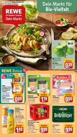 Aktueller REWE Discounter Prospekt in Birkenfelde und Umgebung, "Dein Markt" mit 24 Seiten, 18.08.2025 - 23.08.2025