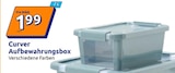 Aufbewahrungsbox von Curver im aktuellen Action Prospekt