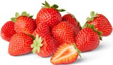 Aktuelle Erdbeeren Angebote bei Penny in Magdeburg Aktuelles Erdbeeren Angebot bei Penny in Magdeburg ab 1,99 €