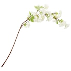 Kunstblume Kirschblüte Angebote bei Ernstings family Dormagen für 7,99 €