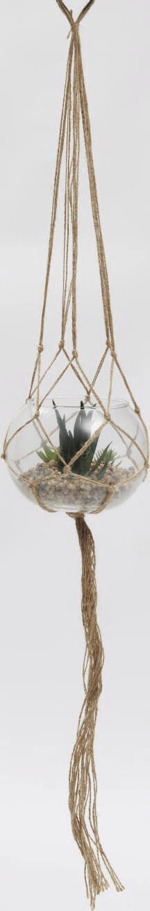 Aménagement Extérieur dans le catalogue Géant Casino Terrarium plante à suspendre ø 15 cm à 6,90 € en promo chez Géant Casino