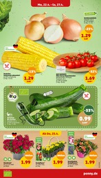 Bio Gemüse Angebot im aktuellen Penny-Markt Prospekt auf Seite 3
