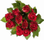 Edelrosen von  im aktuellen Netto Marken-Discount Prospekt für 2,99 €